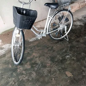 weyilik 27
