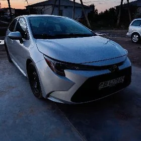 Toyota Corolla 2021