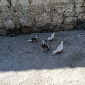 kepderi