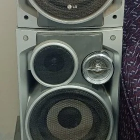 LG sentr