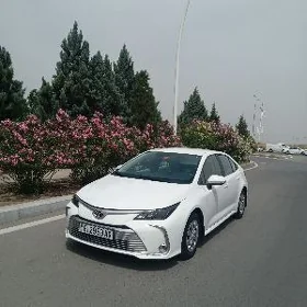 Toyota Corolla 2022