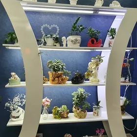 Полка для цветов