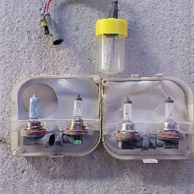 led cyra