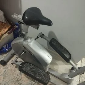 Sport