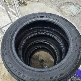 Pakryshka 215.55.17