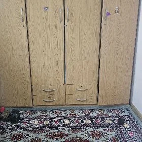 Şfaner mebil
