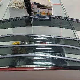 Palta Camry kazirok