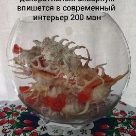 декоративный аквариум