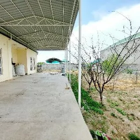 Bagyr Mirewe