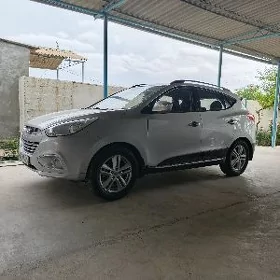 Hyundai Tucson 2010