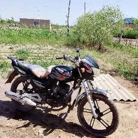 Fekon FK200-14G 2024