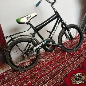 tigir
