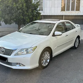 Toyota Aurion 2013