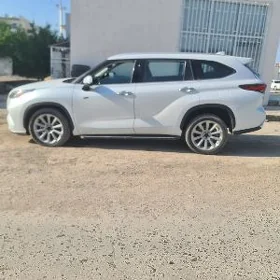 Haylandyra R20