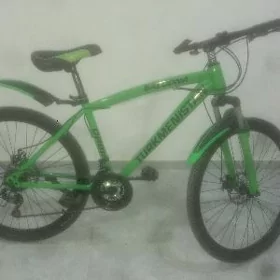 Turkmenistan tigir