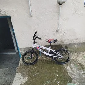 Çaga tigir