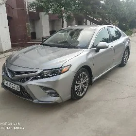 Toyota Camry 2020