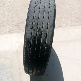 ayak
