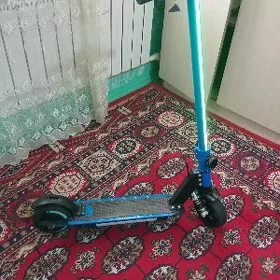 tokly samkat