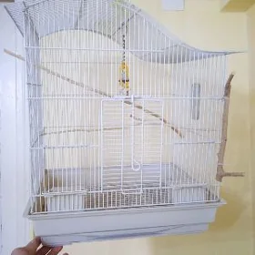 Просторная и удобная летка 🦜