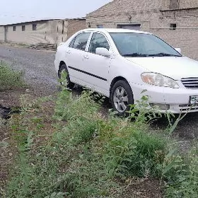 Toyota Corolla 2004