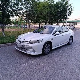 Toyota Camry 2019