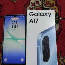 A 17
