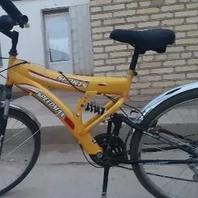 26 sport welik