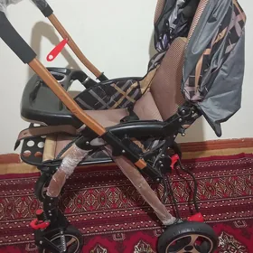 Caga kalyaska