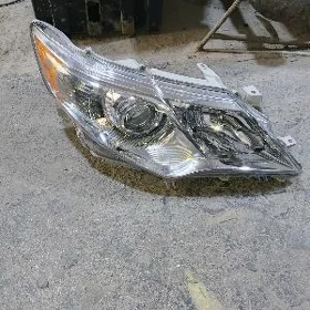 palta kemri sağ tarap cyra
