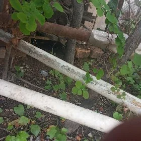 хожалык техника