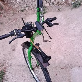 Turkmenistan tigir