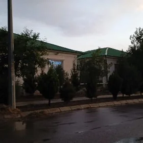 Eyesinden Taze zaman