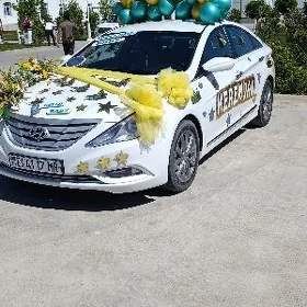 Hyundai Sonata 2010