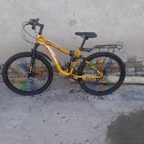 tigor