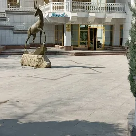 uborshitsa