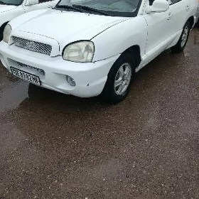Hyundai Santa Fe 2003