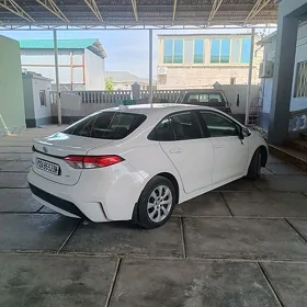 Toyota Corolla 2020
