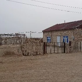Satyk jay baleysem