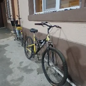 Tigir