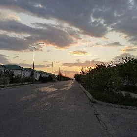 TAZE ZAMAN ️тазе заман