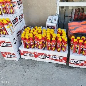 AGNOŞITIL