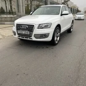 Audi Q5 2009