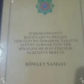 SATLYK MELLEK