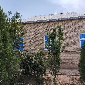 Satlyk Jay