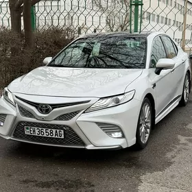 Toyota Camry 2019