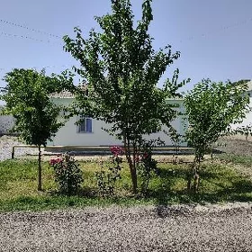 Kone Gami  12 sotok