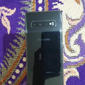 s10
