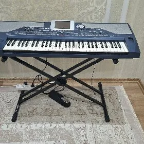 KORG pa800