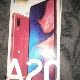А20